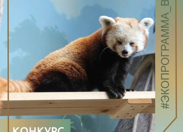Уважаемые коллеги, клиенты и партнеры!
