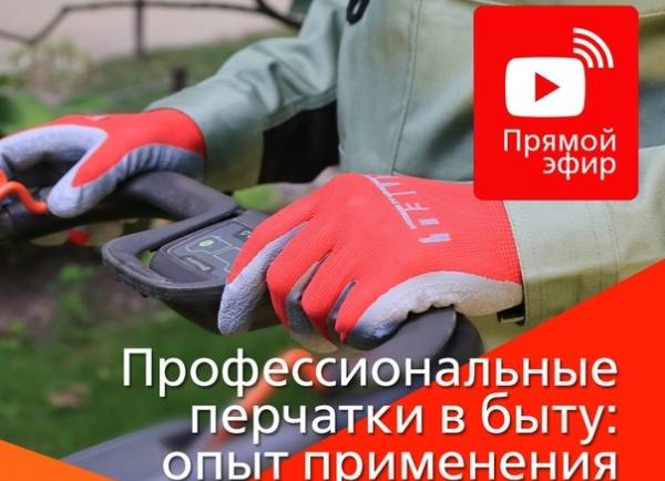 «Восток-Сервис» начинает осеннюю серию прямых эфиров!