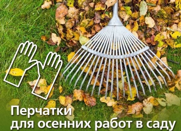 В каких перчатках удобнее готовить дачный участок к зиме?